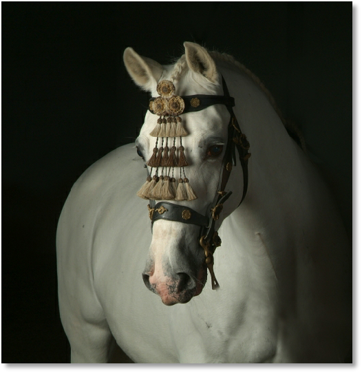 Geronimo